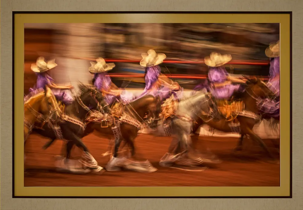 Ecos del ruedo, Virgilio De Mier · fotografía 5 de 6
