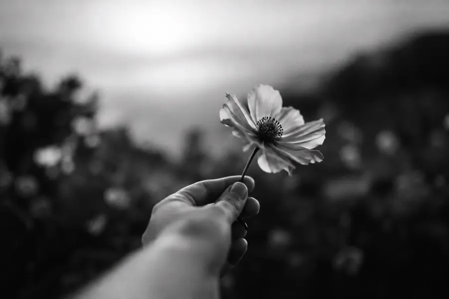 Fotografía en blanco y negro de Virgilio De Mier